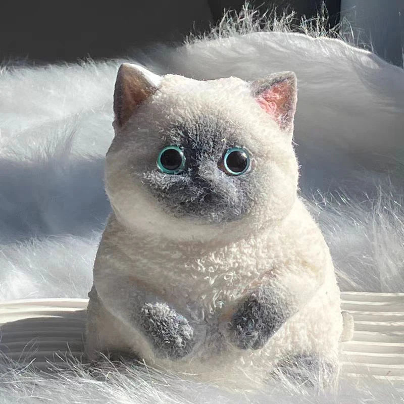 Chubby Cat Plush Collection